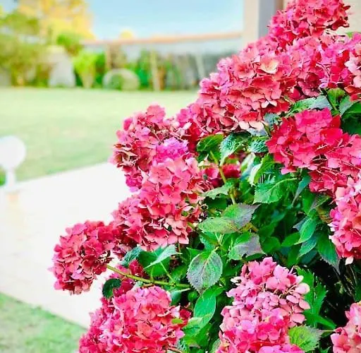 Maison Familiale Vue Au Calme 3 Etoiles Rose * Préfailles