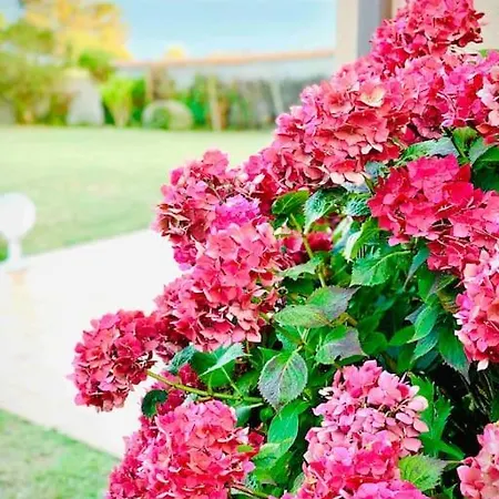 Maison Familiale Vue Au Calme 3 Etoiles Rose * Préfailles